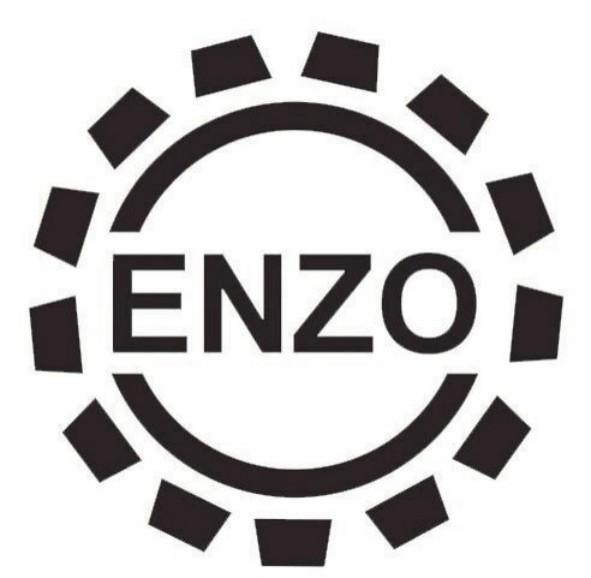 enzo 商标公告