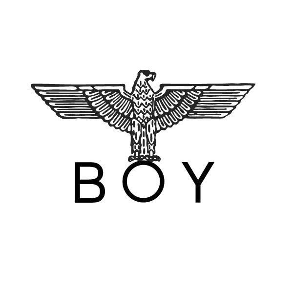 boy 商标公告