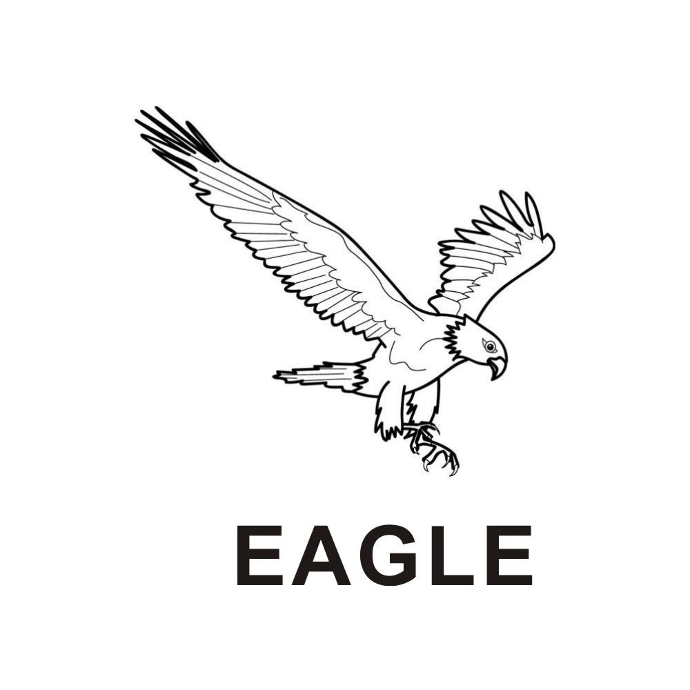eagle 商标公告