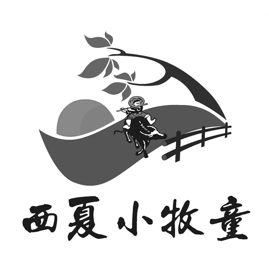 西夏小牧童 商标公告