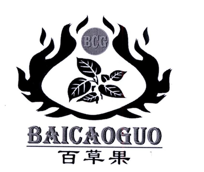 百草果 bcg 商标公告