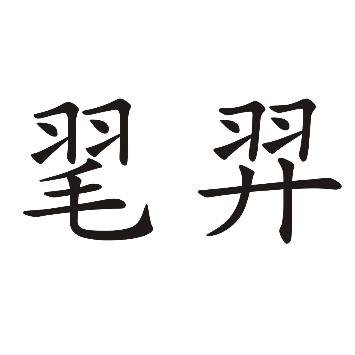 毣羿 商标公告
