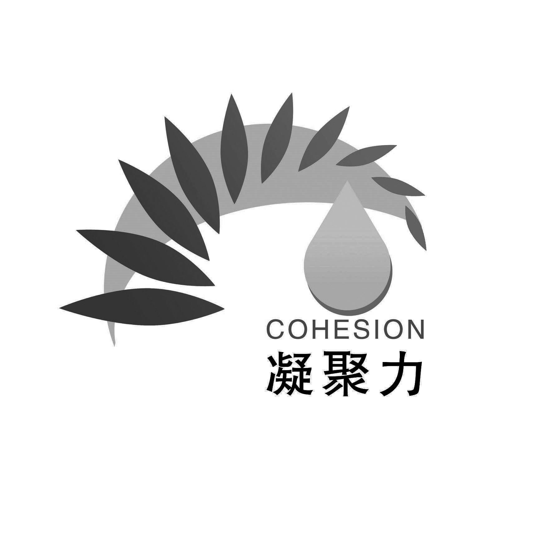 凝聚力 cohesion 商标公告
