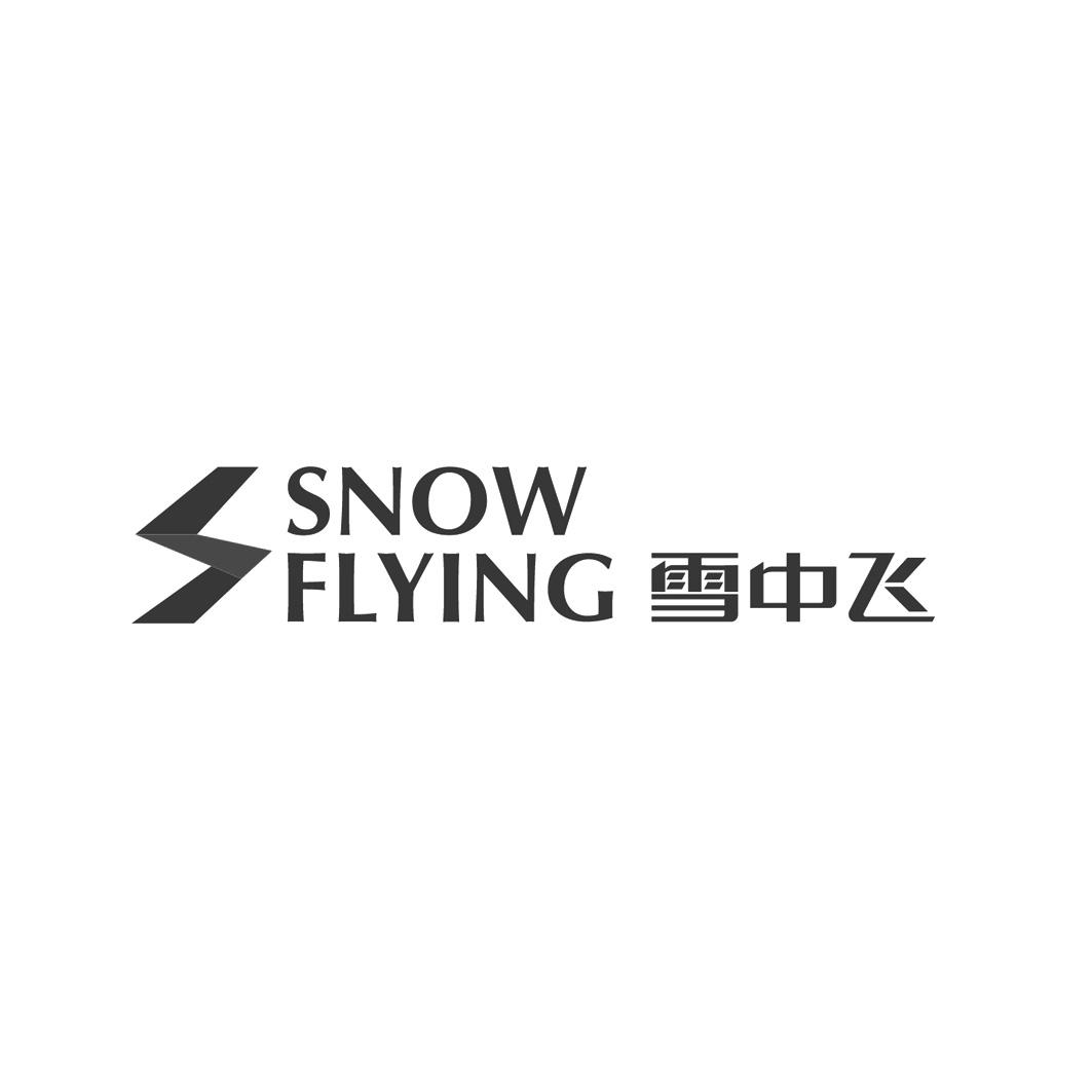 雪中飞衣服logo图片