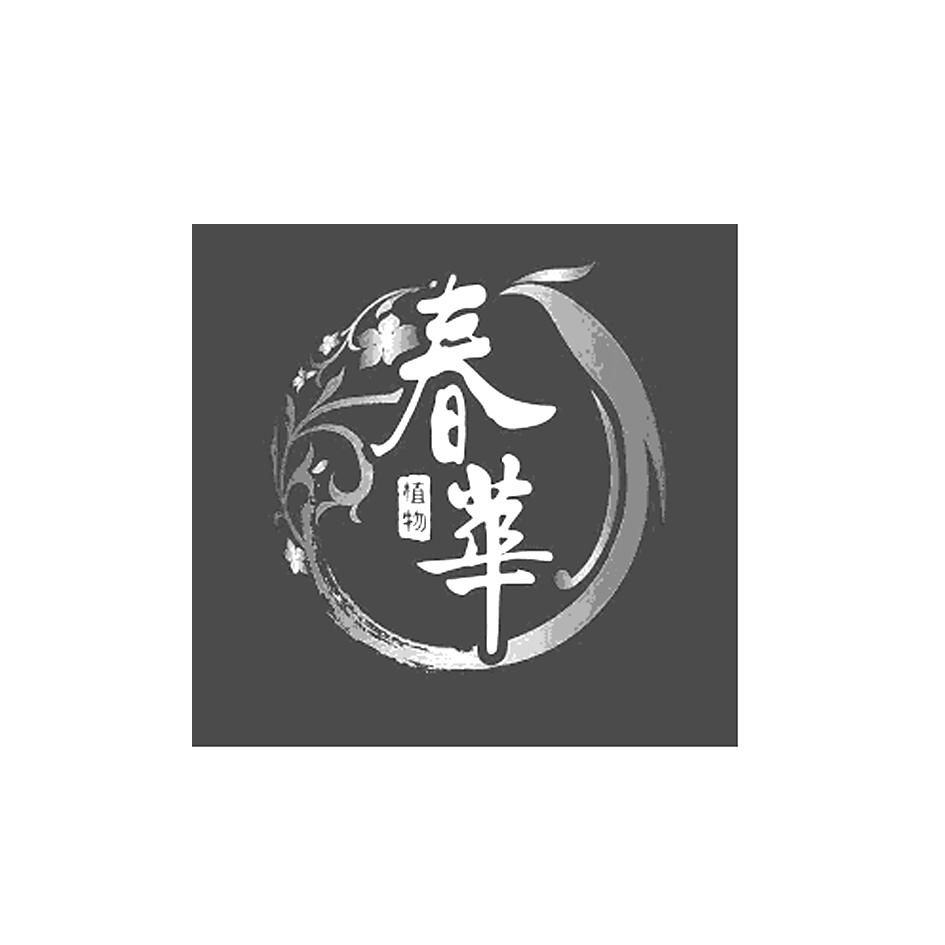 春华 植物 商标公告