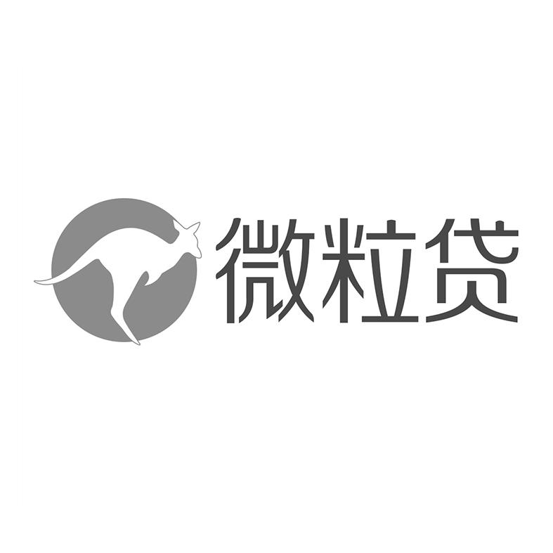 *来源于中国商标网数据,仅供参考,实际以中国商标网展示为准