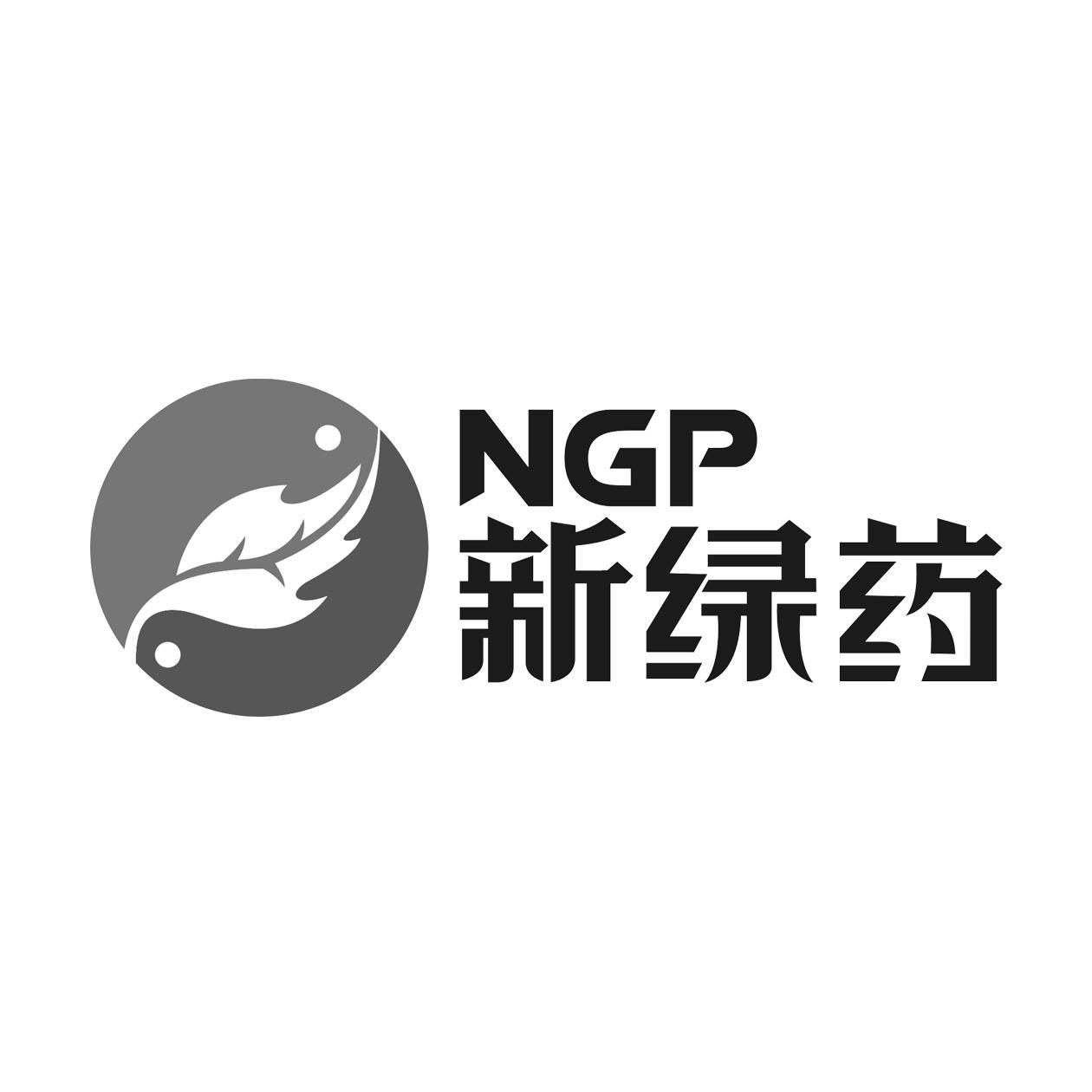 新绿药  ngp 商标公告