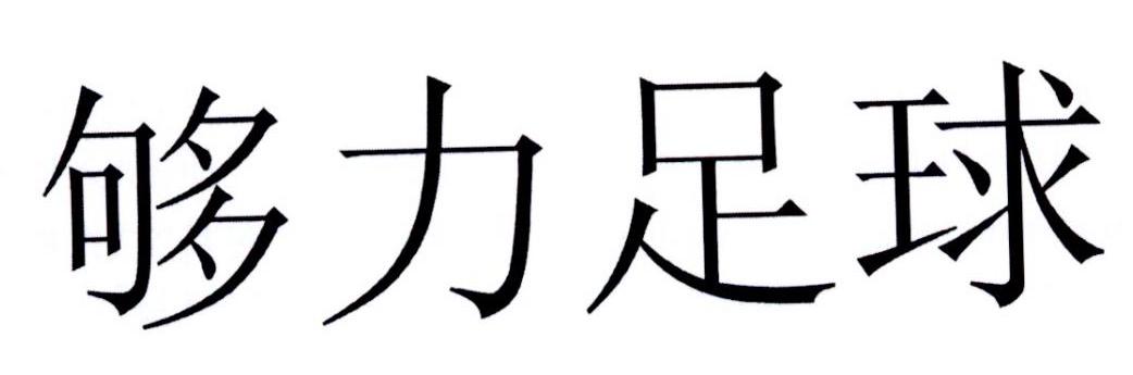 > 够力控股公司