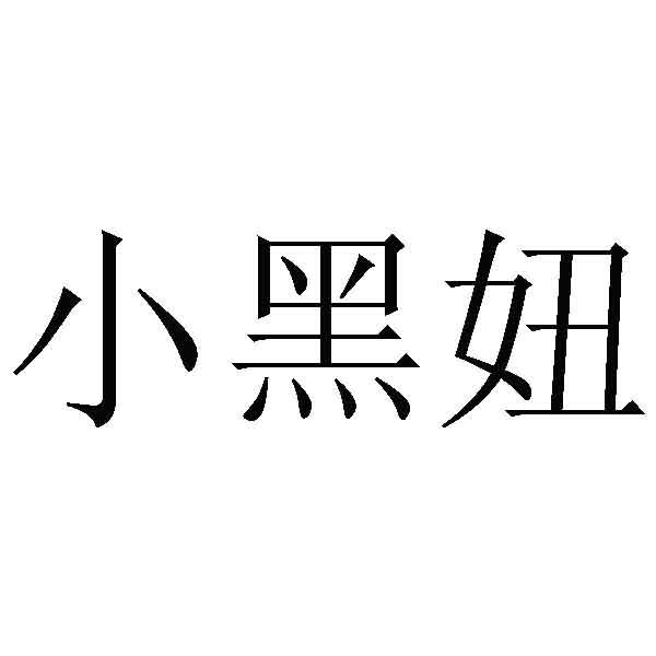 小黑妞 商标公告