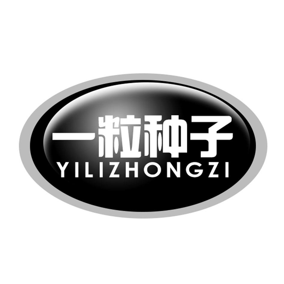 一粒种子 商标公告