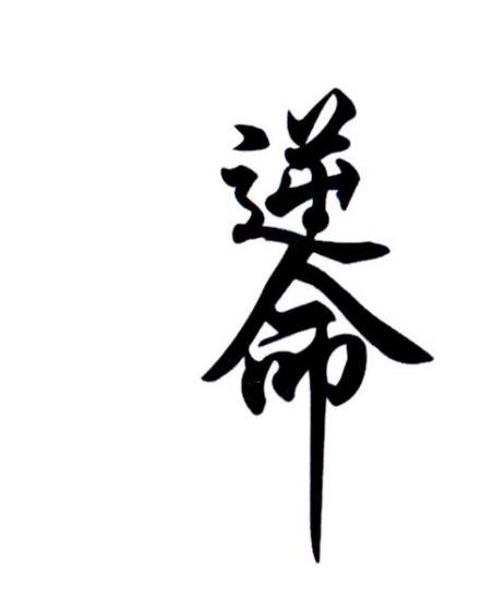 逆命 商标公告