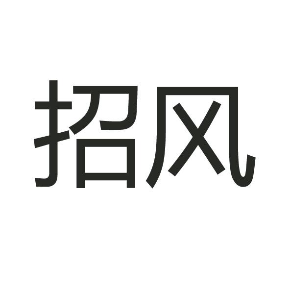 招风