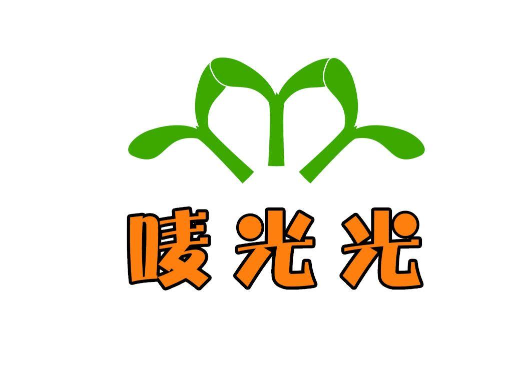 唛光光 商标公告