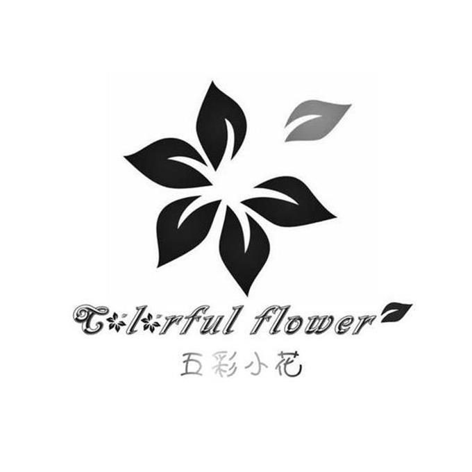 五彩小花 colorful flower商标公告