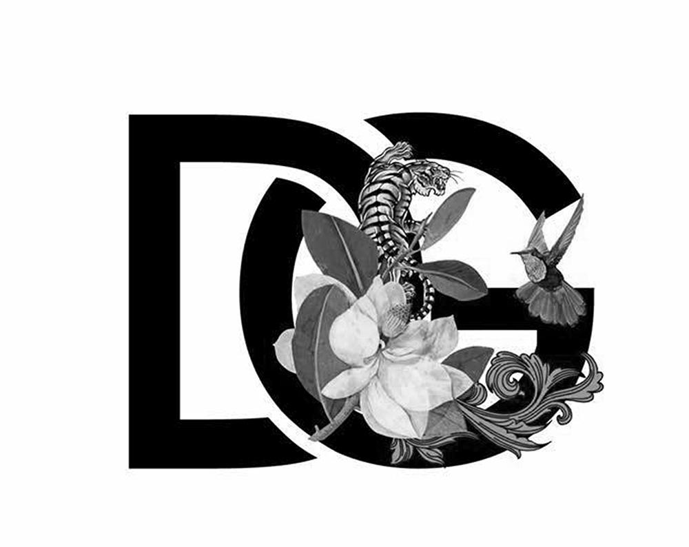 DG字母logo图片