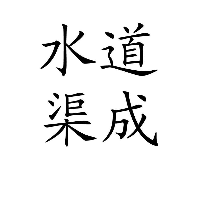 水道渠成 商标公告