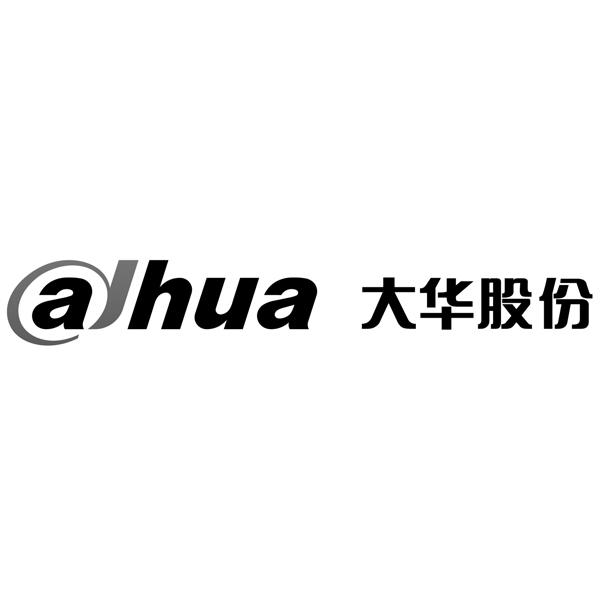 大华地产logo图片
