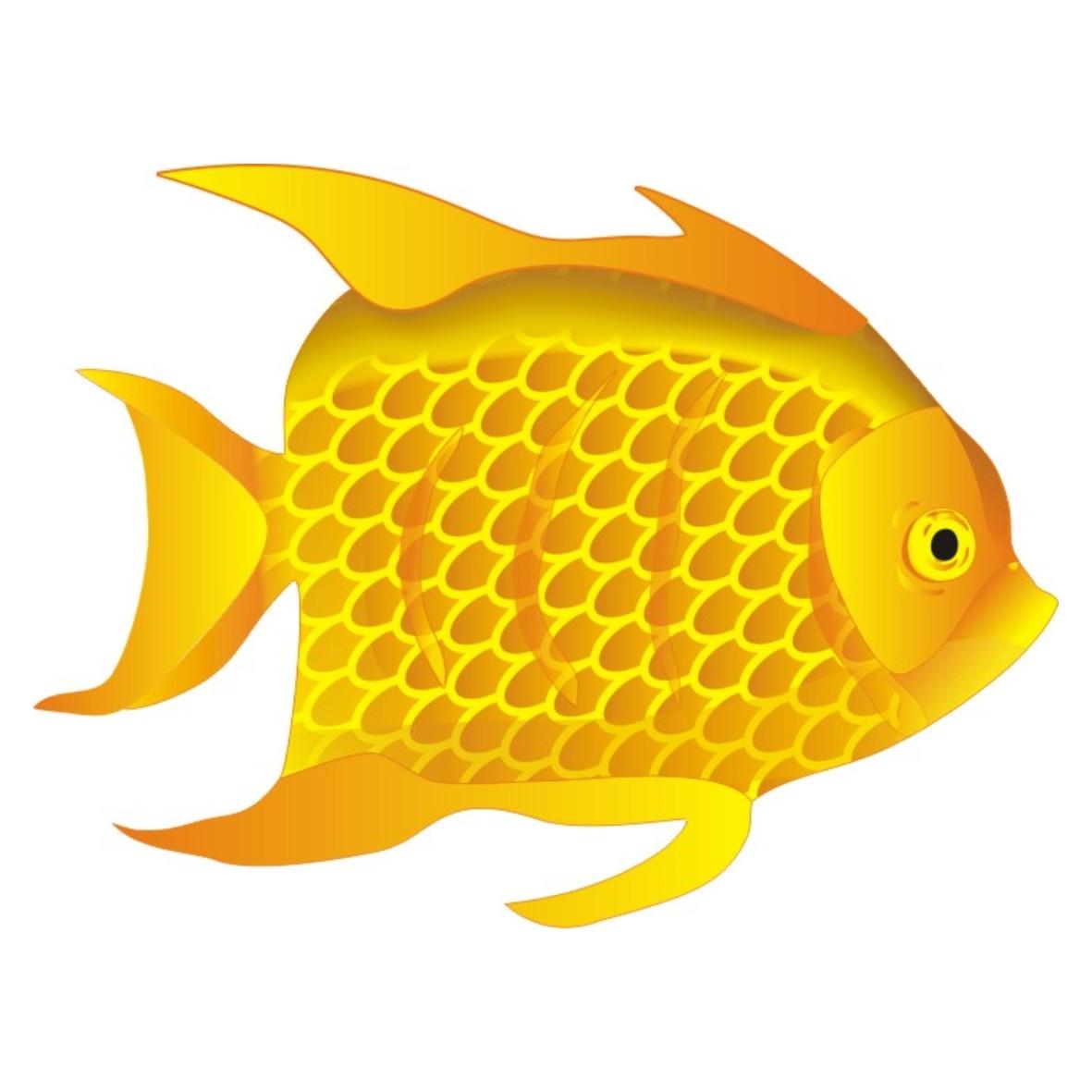 图形公告期号:0期>肉,鱼,家禽和野味;肉汁;腌渍,冷冻,干制及煮熟的