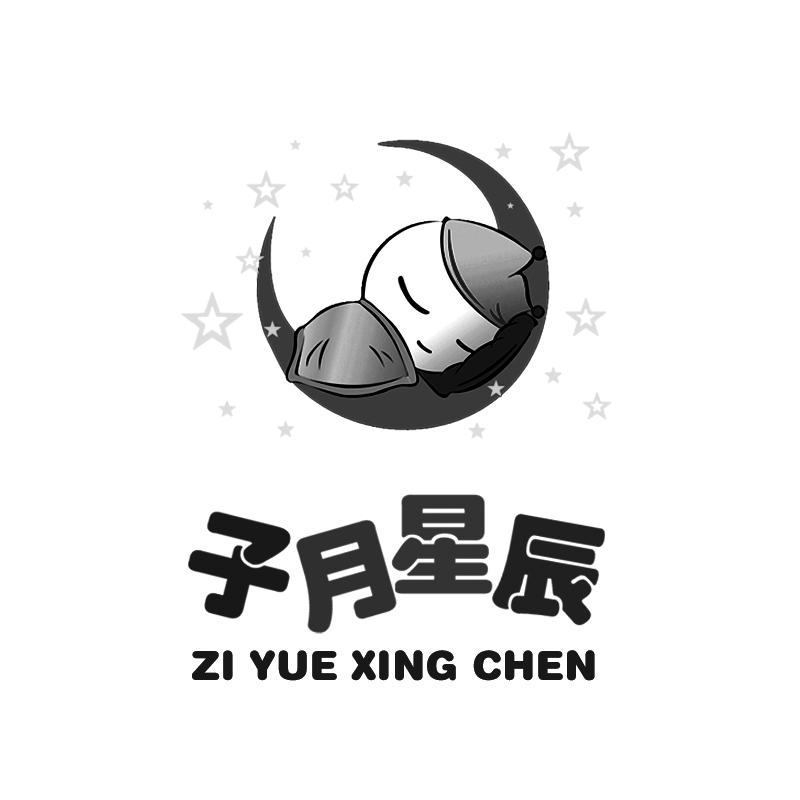 子月星辰 商标公告