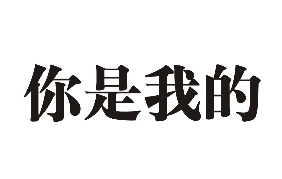 你是我的 商标公告