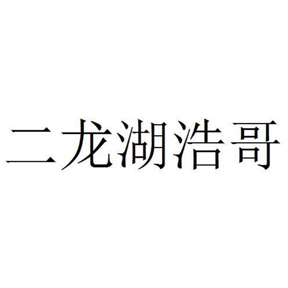 二龙湖浩哥 商标公告