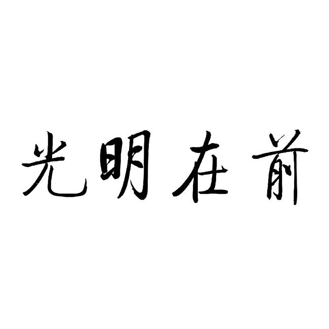 光明在前 商标公告