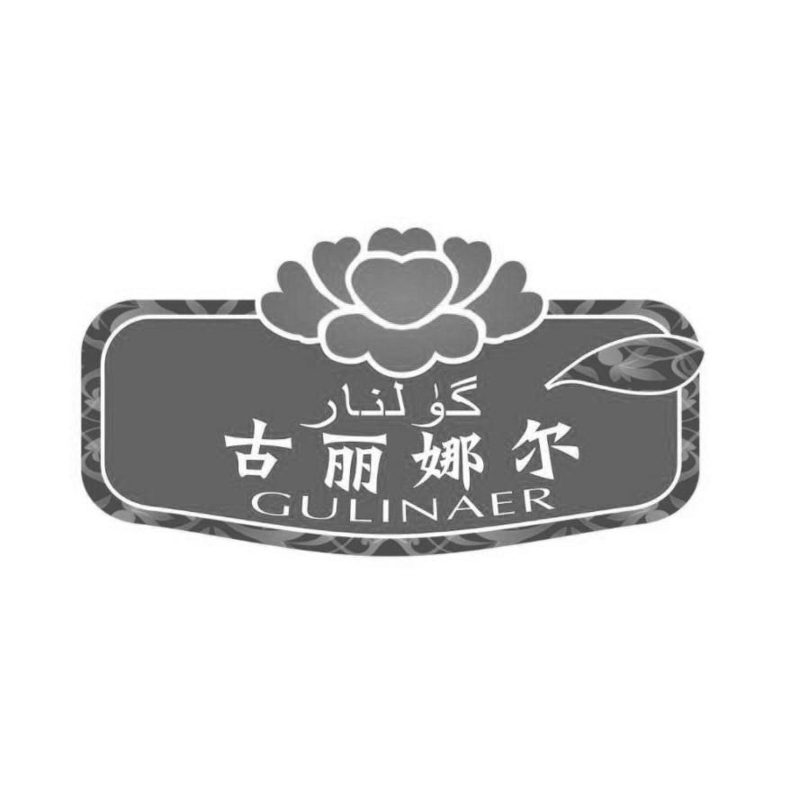 古丽娜尔 商标公告