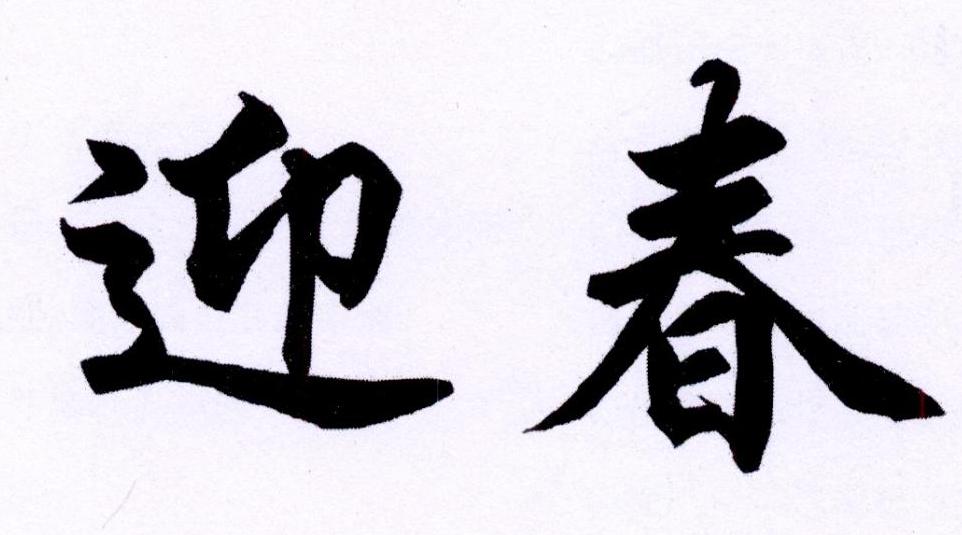 迎春 商标公告