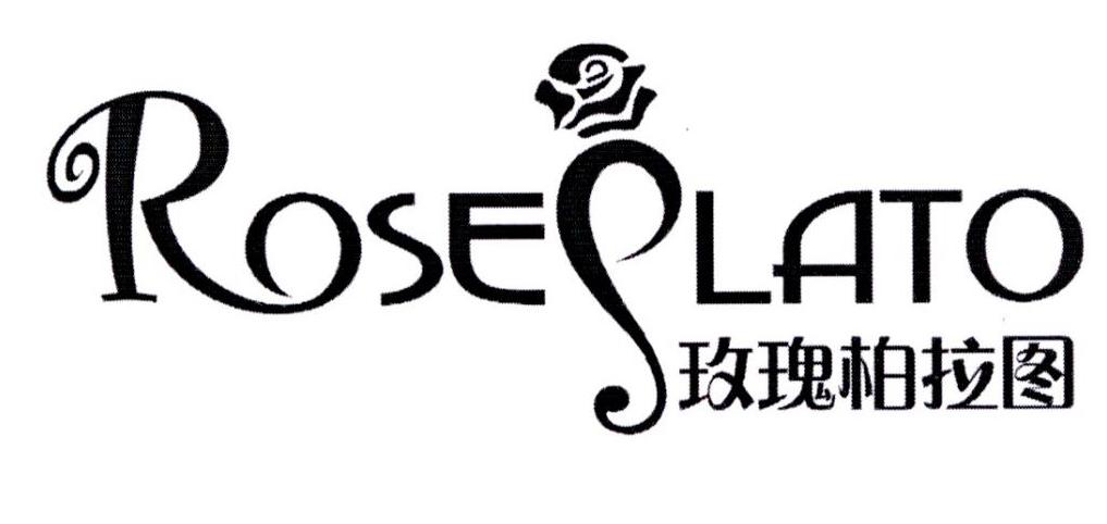 > 普宁市柏拉图贸易有限公司