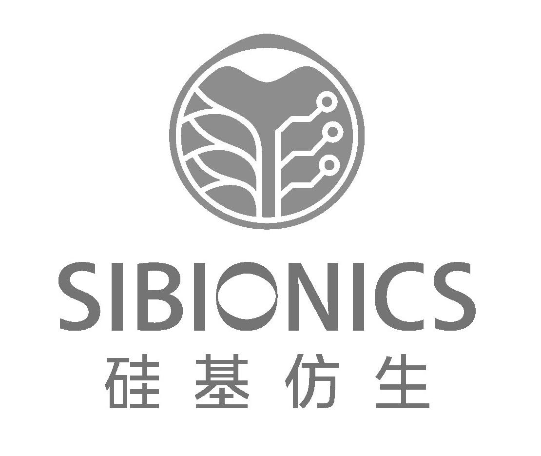 硅基仿生 sibionics 商标公告
