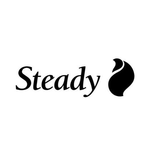 steady 商标公告