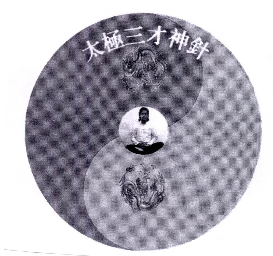 太极三才神针 商标公告