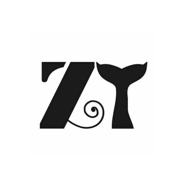 zy 商标公告