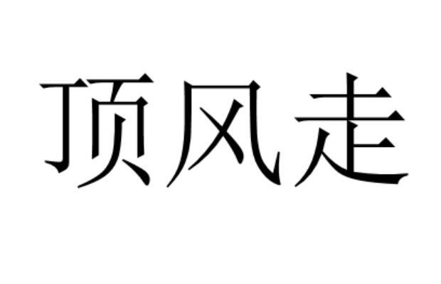 顶风走 商标公告