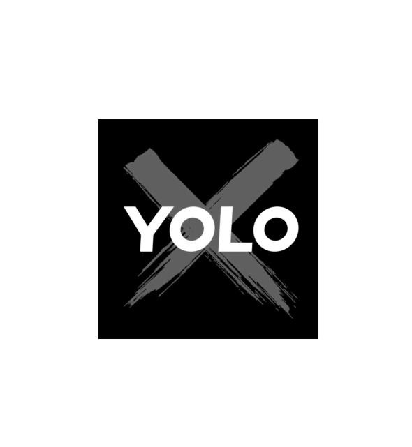 yolo 商标公告