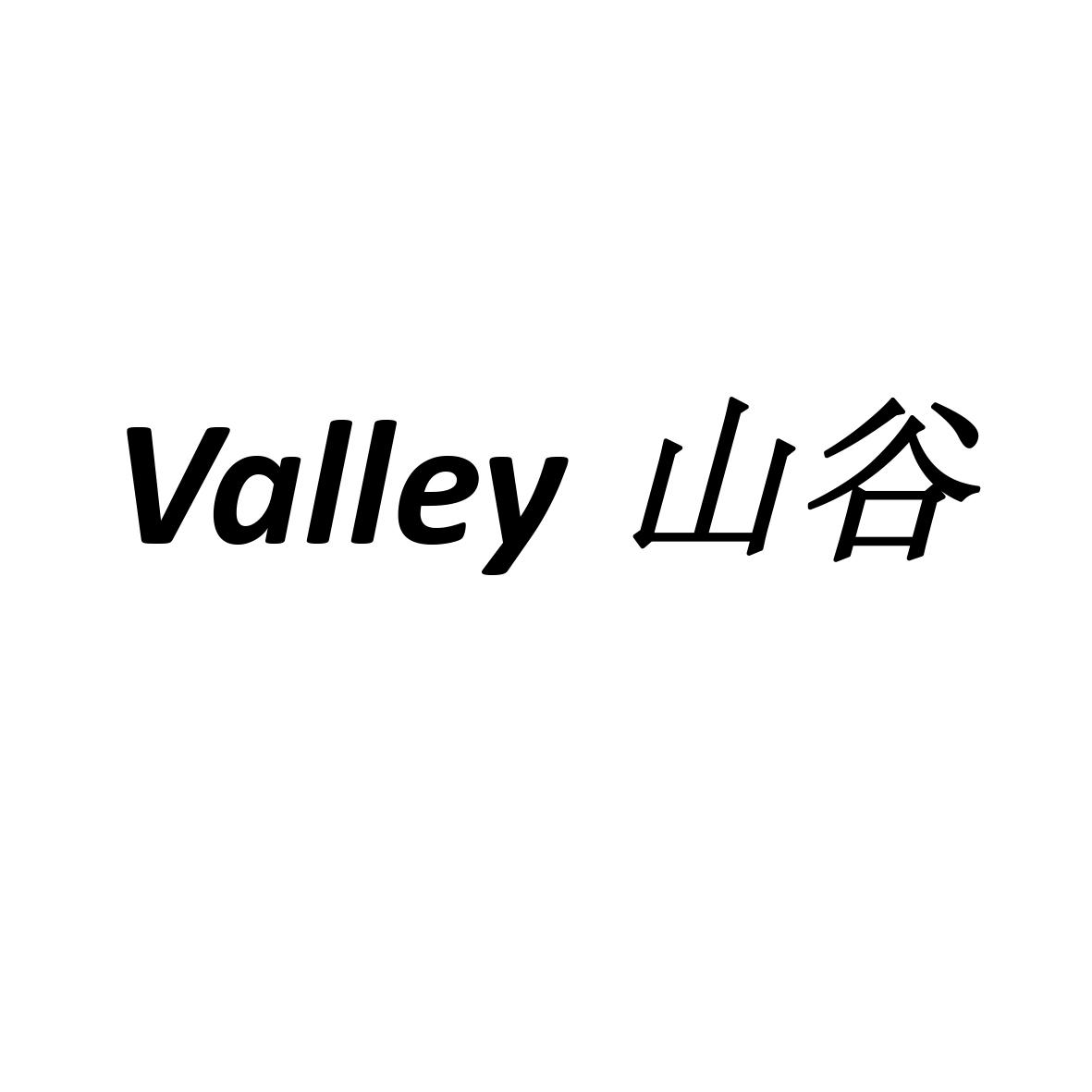 山谷 valley 商标公告