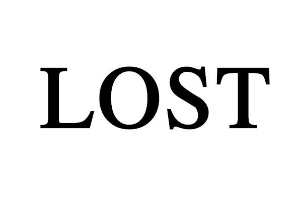 lost 商标公告