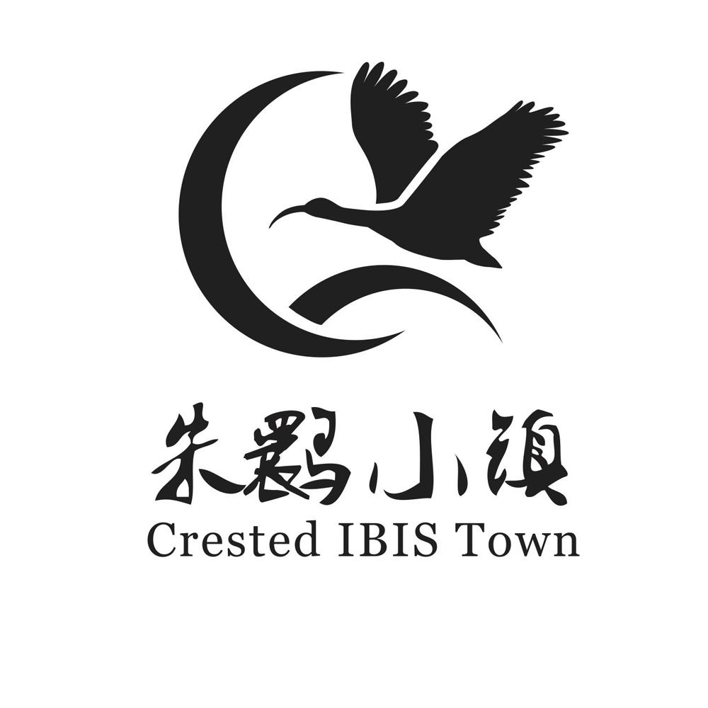 朱鹮小镇 crested ibis town商标公告