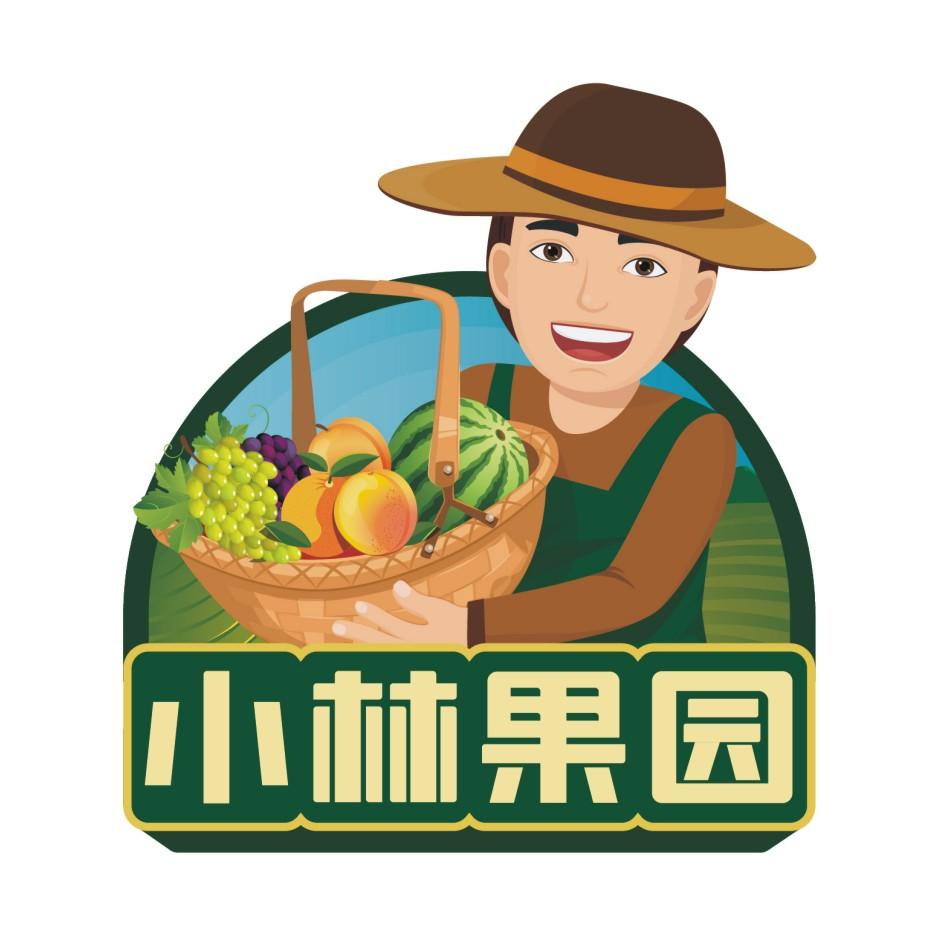 小林果园 商标公告