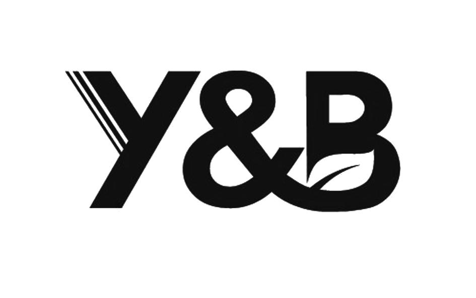 y&b 商标公告
