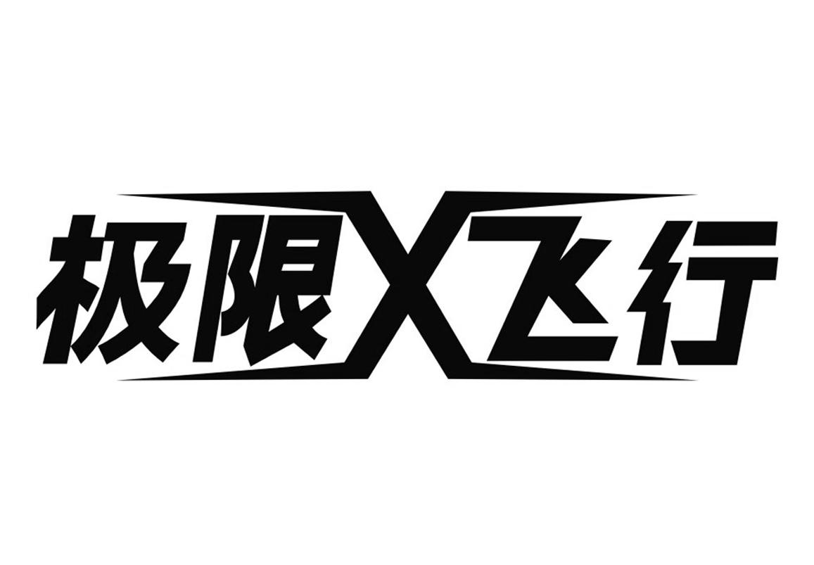 极限飞行 商标公告