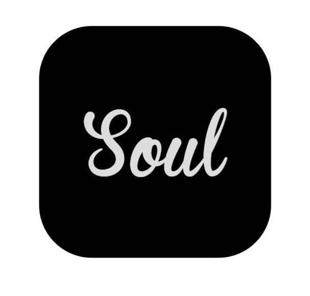 soul 商标公告