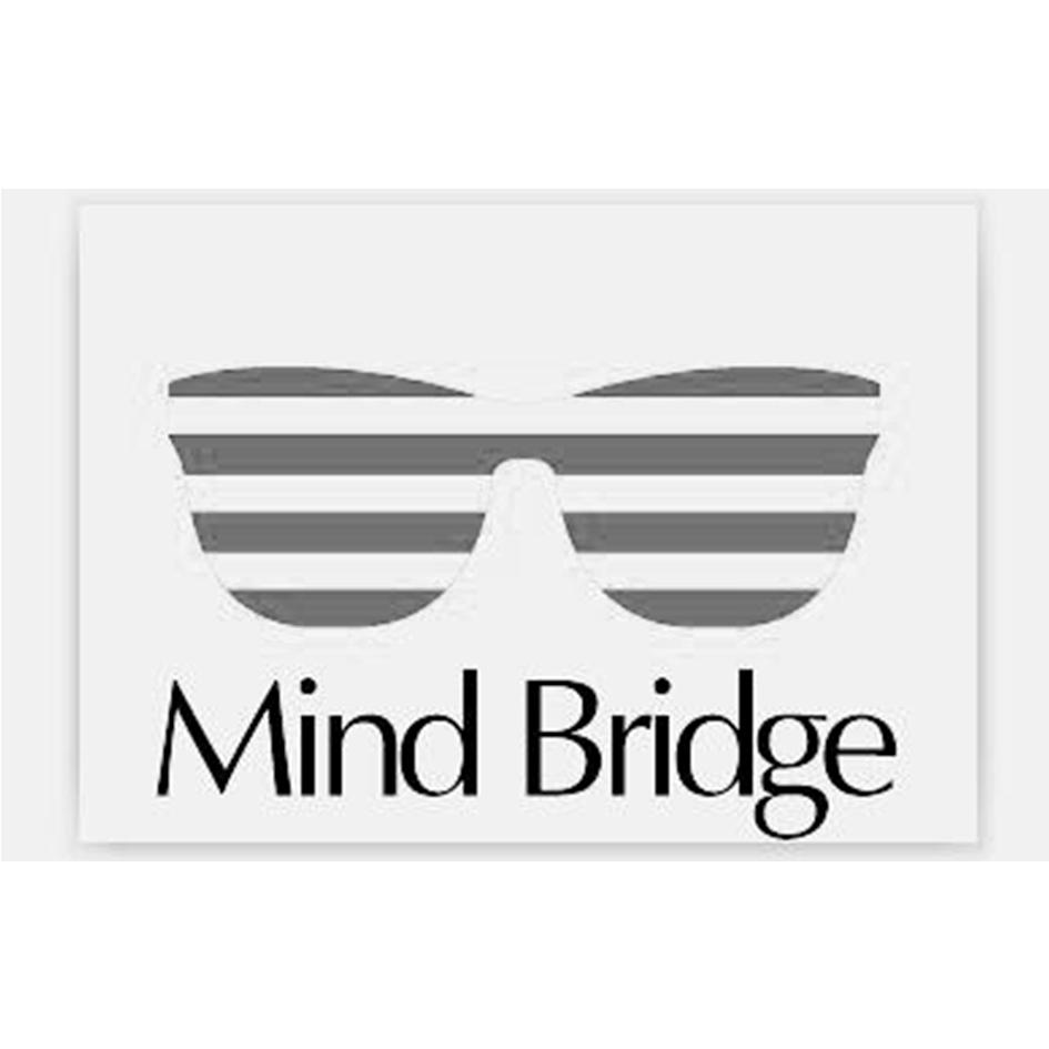 mindbridge商标公告