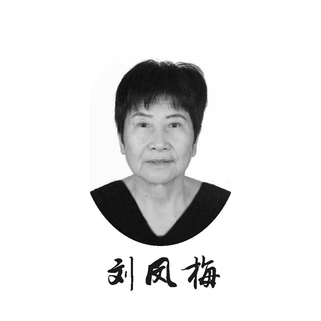 刘凤梅 商标公告