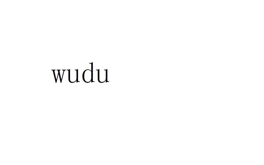 wudu 商标公告