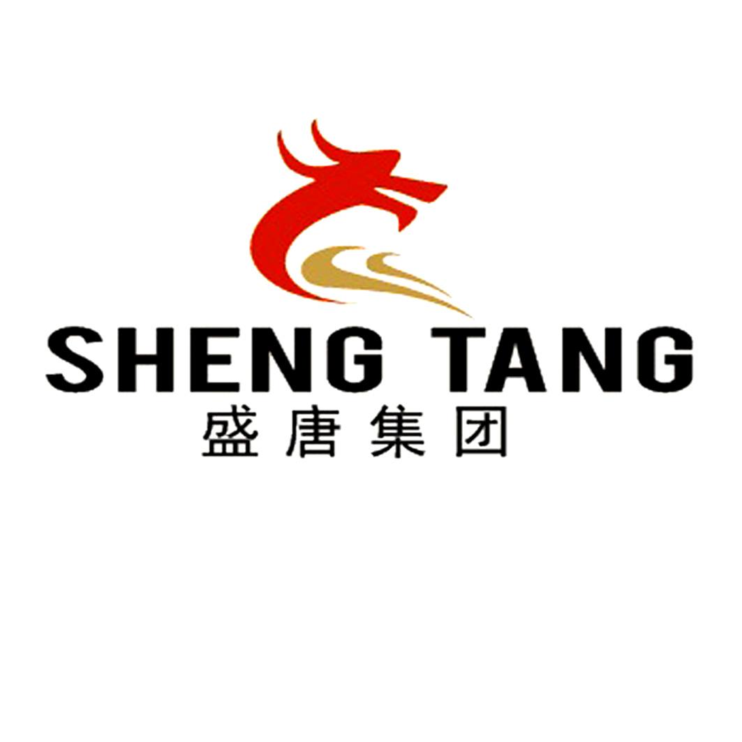 盛唐集团 sheng tang 商标公告