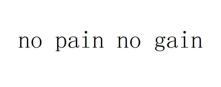 no pain no gain 商标公告