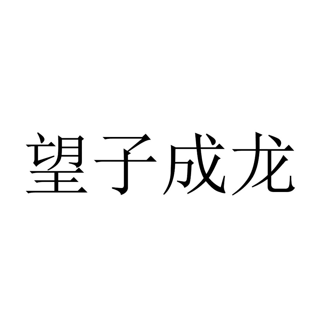 望子成龙 商标公告