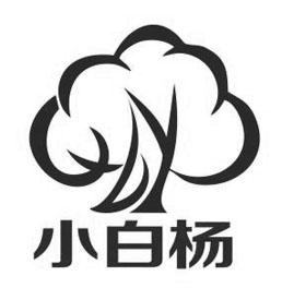 小白杨 商标公告