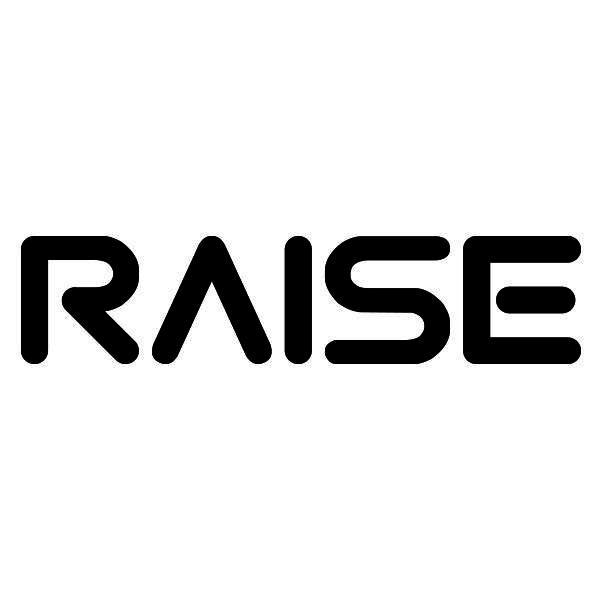 raise 商标公告